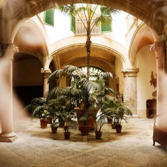 Arched courtyard planted with palms at the community centre